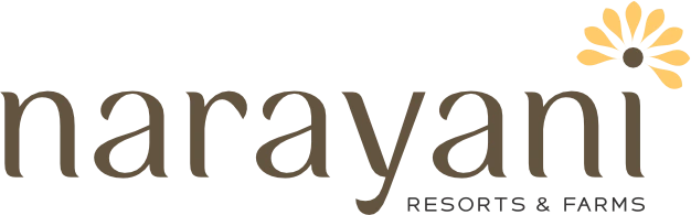 Narayani Logo
